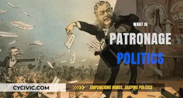 Understanding Patronage Politics: Power, Influence, and Political Exchange Explained