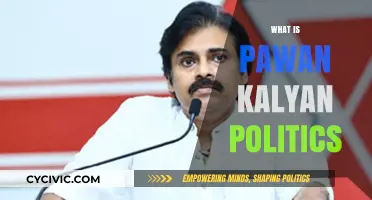 Pawan Kalyan's Political Journey: Vision, Impact, and Future in Andhra Pradesh