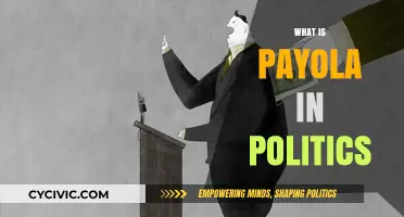Payola in Politics: Uncovering Hidden Payments and Influence Peddling