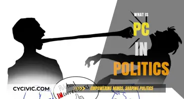 Understanding Political Correctness: Its Role and Impact in Modern Politics