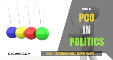 Understanding PCO: Its Role and Impact in Political Systems Explained