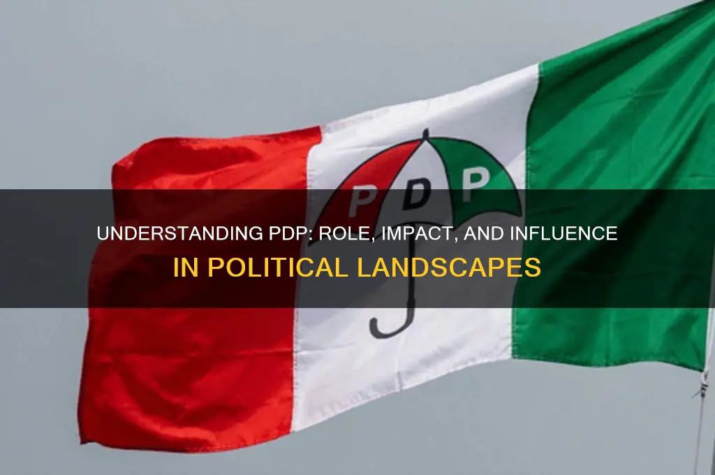 what is pdp in politics