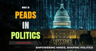 Understanding PEADS: Political Strategies and Their Impact on Governance