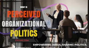 Understanding Perceived Organizational Politics: Impact, Causes, and Strategies