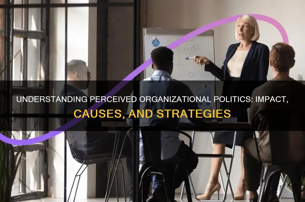 what is perceived organizational politics