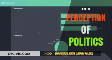 Understanding the Complex Perception of Politics: Insights and Analysis