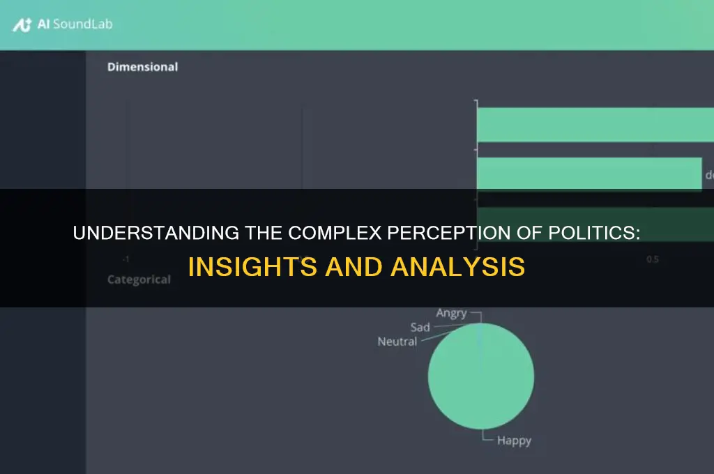 what is perception of politics