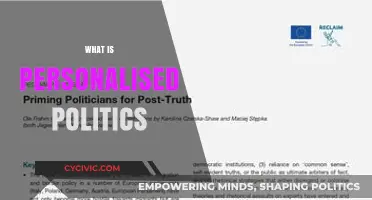 Understanding Personalised Politics: Tailoring Policies to Individual Needs