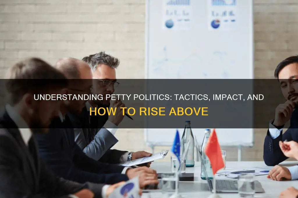 what is petty politics