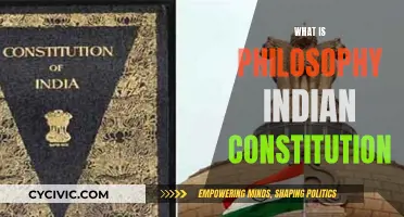 Philosophy's Influence on India's Constitution
