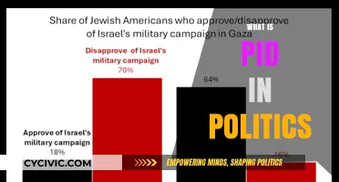 Understanding PID: Political Identification and Its Role in Shaping Politics