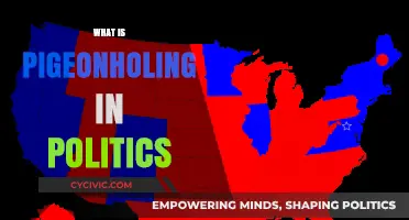 Understanding Pigeonholing: How Political Labeling Shapes Discourse and Divides