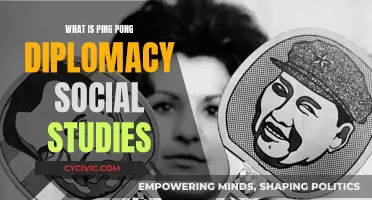 The Social Impact of Ping-Pong Diplomacy