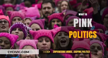 Understanding Pink Politics: Gender, Power, and Policy in Modern Society