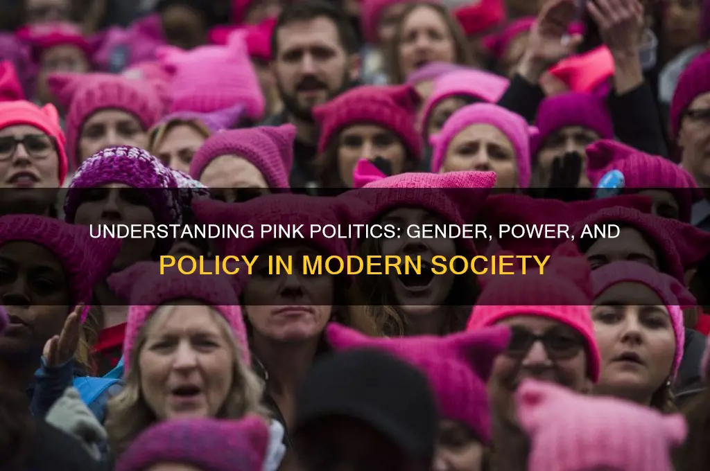 what is pink politics