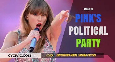 Pink's Political Party: Unraveling the Singer's Political Affiliations and Views