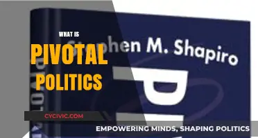Understanding Pivotal Politics: Key Concepts and Real-World Implications
