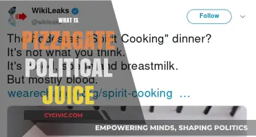 Unraveling Pizzagate: The Political Juice Conspiracy Theory Explained