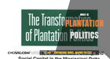 Understanding Plantation Politics: Origins, Impact, and Modern Implications