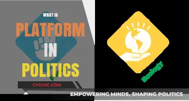 Understanding Political Platforms: Core Principles and Their Impact on Governance
