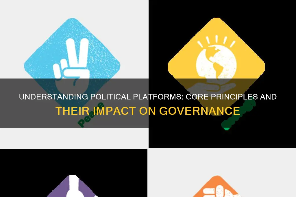 what is platform in politics