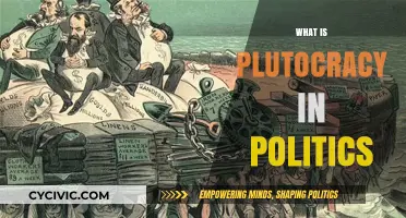 Understanding Plutocracy: How Wealth Dominates Modern Political Systems