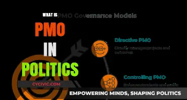 Understanding the Role and Impact of PMOs in Political Governance