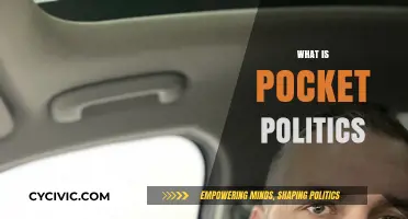 Understanding Pocket Politics: Hidden Influences on Public Policy Decisions