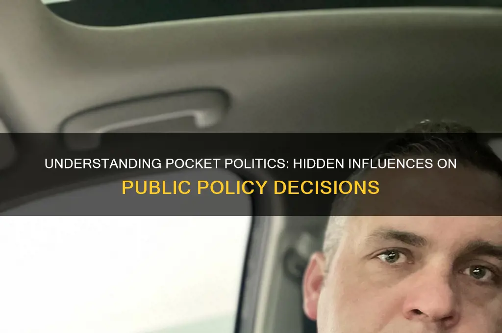 what is pocket politics