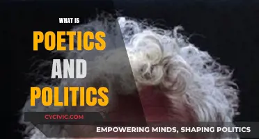 Exploring Poetics and Politics: Power, Language, and Social Change