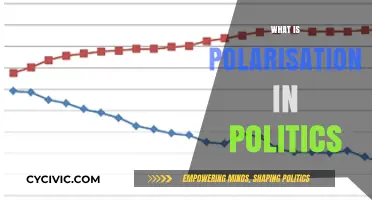 Understanding Political Polarisation: Causes, Effects, and Solutions Explained