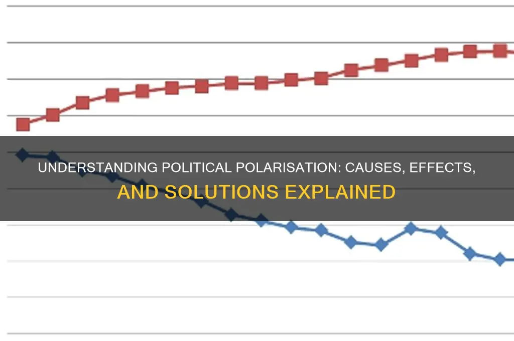 what is polarisation in politics