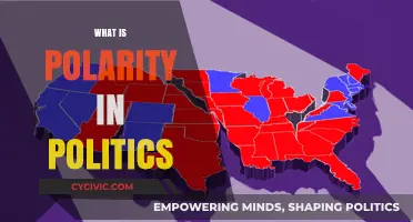 Understanding Political Polarity: Divides, Dynamics, and Democracy's Dilemma