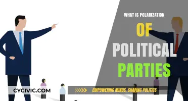 Understanding Political Polarization: How Parties Divide and Shape Society