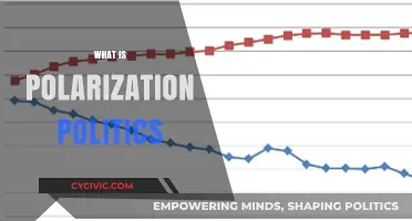 Understanding Polarization Politics: Causes, Effects, and Solutions Explained