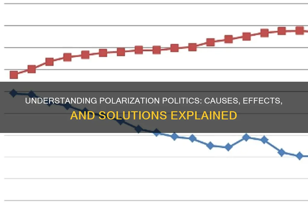 what is polarization politics