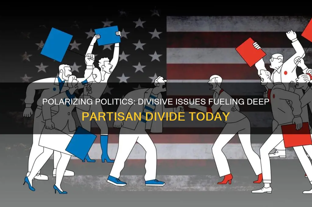 what is polarizing in politics