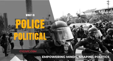 Understanding Police Politics: Power, Influence, and Public Safety Dynamics