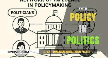 Understanding Political Policies: Their Role, Impact, and Importance in Governance