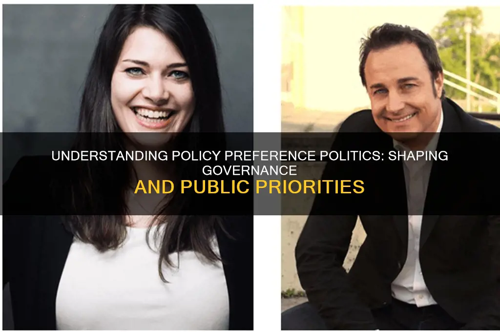 what is policy preference politics