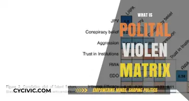 Understanding the Political Violence Matrix: A Comprehensive Guide to Its Framework