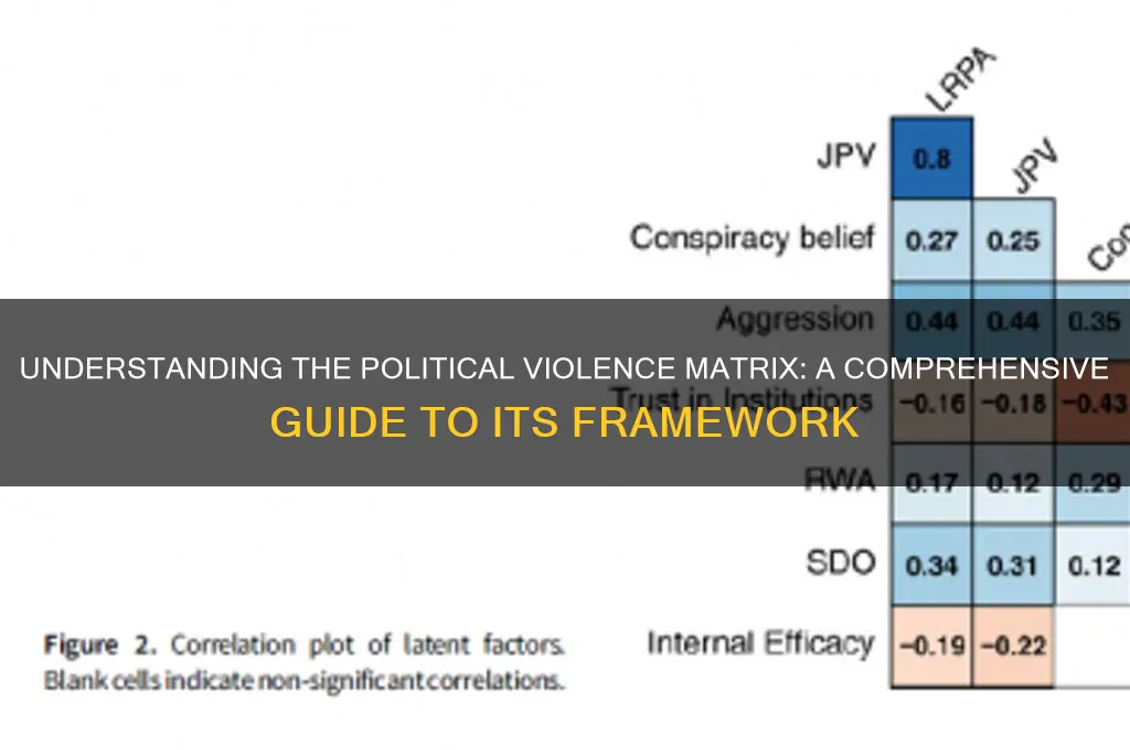 what is polital violen matrix