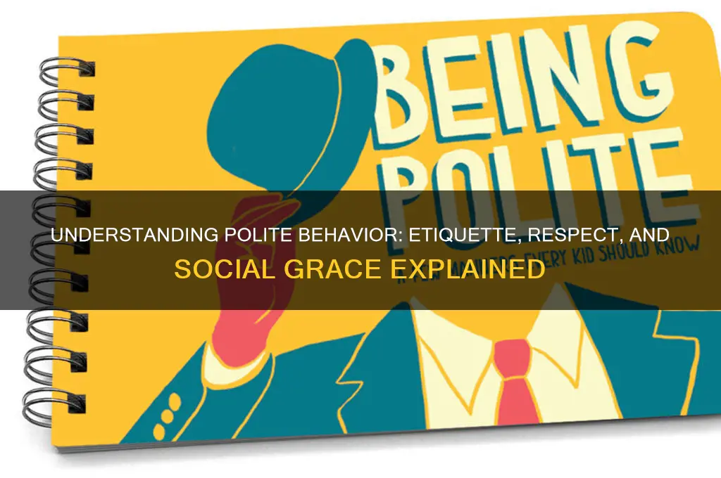 what is polite behaviour