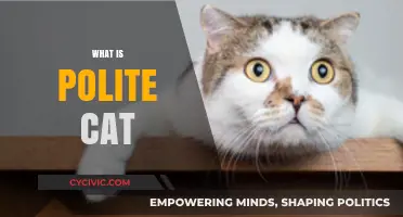 Understanding Polite Cat Behavior: A Guide to Feline Etiquette