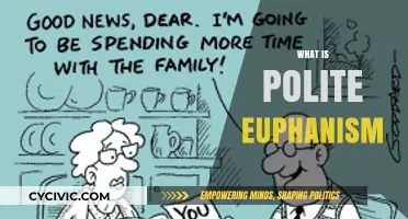 Understanding Polite Euphemisms: Softening Language for Social Comfort