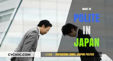 Understanding Japanese Etiquette: Polite Gestures and Cultural Norms in Japan