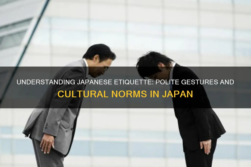 what is polite in japan