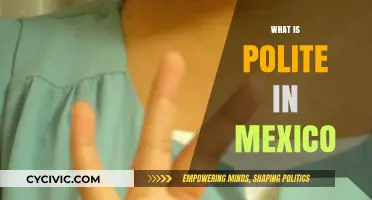Understanding Mexican Etiquette: Polite Gestures and Cultural Norms in Mexico