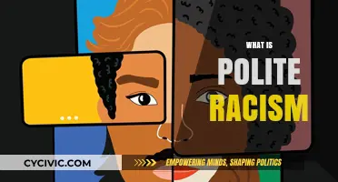 Understanding Polite Racism: Subtle Biases and Their Impact on Society