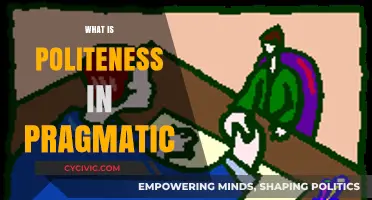 Understanding Politeness: A Pragmatic Approach to Effective Communication